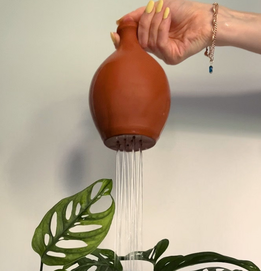 Decorating with plants. Terracotta watering can. Plantas blog
